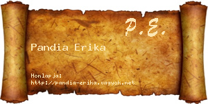 Pandia Erika névjegykártya